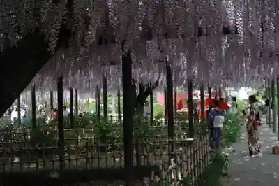 玉敷神社(埼玉県)