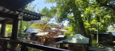 石切劔箭神社(大阪府)