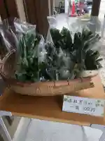 生路山 常照寺の御朱印