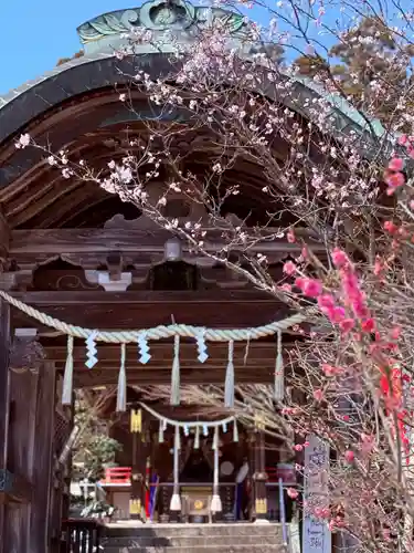 常宮神社(福井県)
