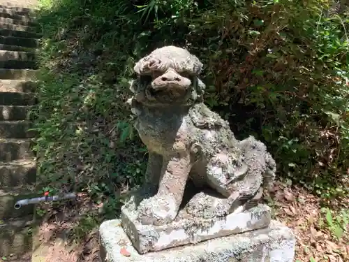 男金神社の狛犬