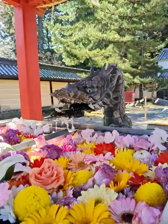 美濃國一宮 南宮大社の{uncategorized: "未分類", other: "その他", undefined: "問題あり", building: "その他建物", grave: "お墓", sacred_gate: "鳥居", guardian: "狛犬", statue: "像", buddha: "仏像", history: "歴史", nature: "自然", garden: "庭園", animal: "動物", pagoda: "塔", temizu: "手水舎", mountain_gate: "山門・神門", sanctuary: "本殿・本堂", subordinate: "末社・摂社", art: "芸術", scenery: "景色", jizo: "地蔵", ema: "絵馬", goshuin: "御朱印", omikuji: "おみくじ", items: "授与品その他", amulet: "お守り", goshuincho: "御朱印帳", eats: "食事", festival: "お祭り", votive_dance: "神楽", shichigosan: "七五三参", wedding: "結婚式", experience: "体験その他", initially: "初詣", around: "周辺", anti_infection: "感染症対策"}