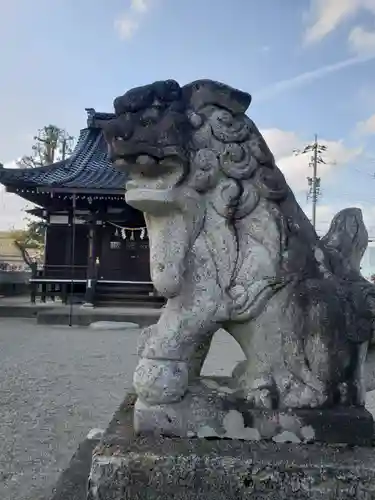 八幡宮の狛犬