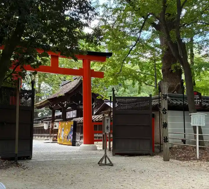河合神社(鴨川合坐小社宅神社)の鳥居