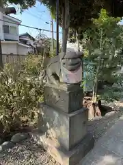 菊田神社の狛犬