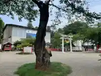 世良田東照宮(群馬県)