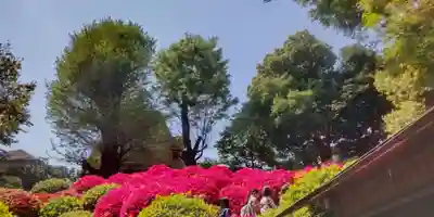 根津神社(東京都)