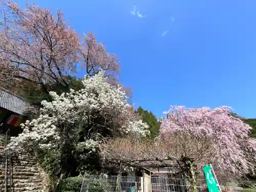 仏隆寺の{uncategorized: "未分類", other: "その他", undefined: "問題あり", building: "その他建物", grave: "お墓", sacred_gate: "鳥居", guardian: "狛犬", statue: "像", buddha: "仏像", history: "歴史", nature: "自然", garden: "庭園", animal: "動物", pagoda: "塔", temizu: "手水舎", mountain_gate: "山門・神門", sanctuary: "本殿・本堂", subordinate: "末社・摂社", art: "芸術", scenery: "景色", jizo: "地蔵", ema: "絵馬", goshuin: "御朱印", omikuji: "おみくじ", items: "授与品その他", amulet: "お守り", goshuincho: "御朱印帳", eats: "食事", festival: "お祭り", votive_dance: "神楽", shichigosan: "七五三参", wedding: "結婚式", experience: "体験その他", initially: "初詣", around: "周辺", anti_infection: "感染症対策"}