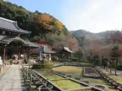 三室戸寺(京都府)