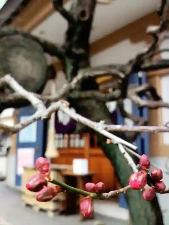 穏田神社(東京都)