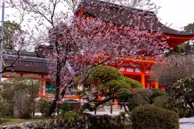 賀茂別雷神社（上賀茂神社）(京都府)