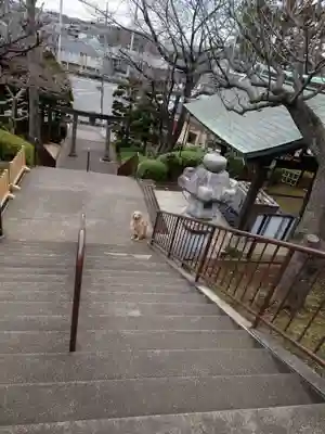 白幡八幡大神(神奈川県)