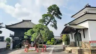 本應寺(埼玉県)