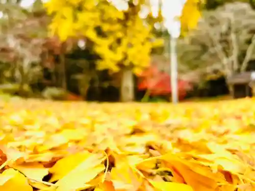 土津神社｜こどもと出世の神さまの自然