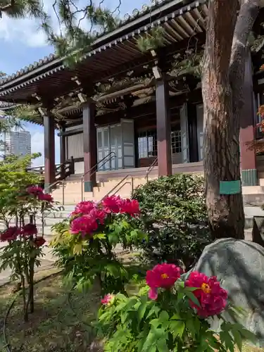圓照寺(東京都)