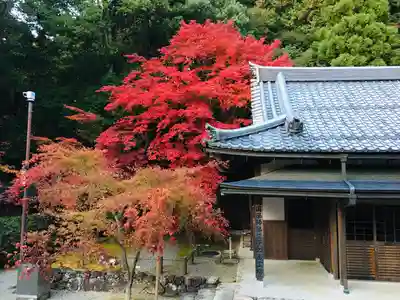 西明寺(滋賀県)