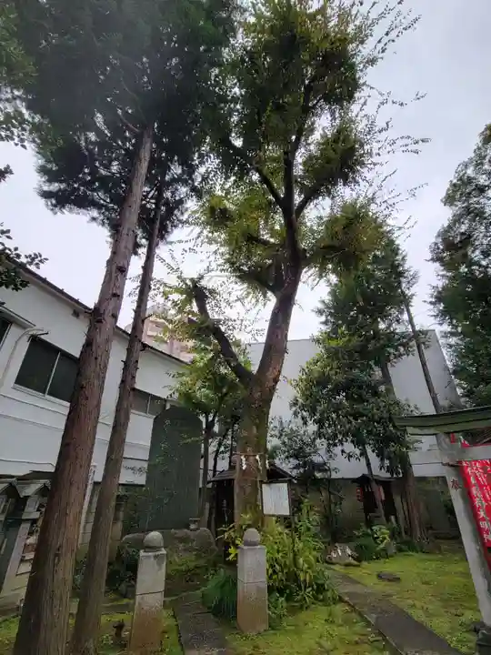 くまくま神社(導きの社 熊野町熊野神社)のその他建物