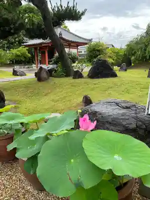 喜光寺(奈良県)