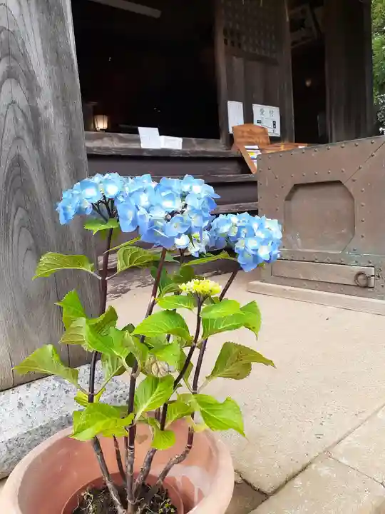 伏木香取神社の自然