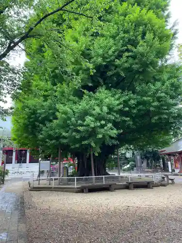 千葉寺(千葉県)