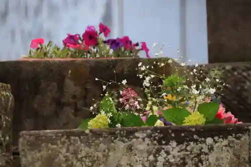 熊野福藏神社の手水舎