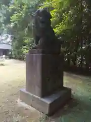 富岡八幡宮の狛犬