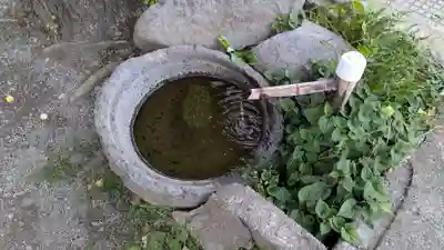 水神社の手水舎