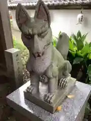 大社神社の狛犬