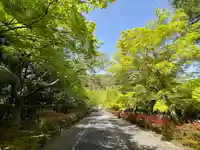 二尊院(京都府)