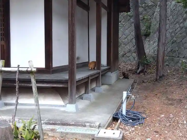 平林寺(兵庫県)