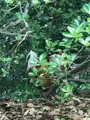 熱田神宮の動物