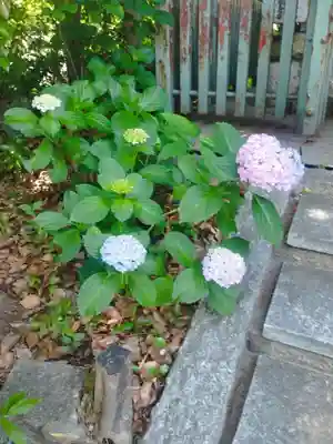 佐太神社(佐太天神宮)(大阪府)