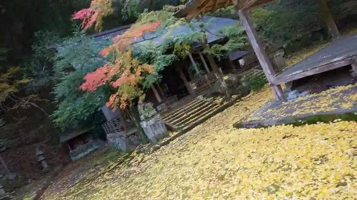 岩戸落葉神社の本殿・本堂