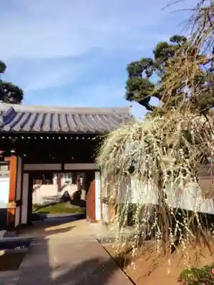 圓照寺(東京都)