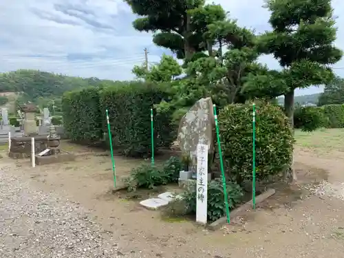 国分寺のその他建物