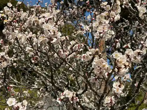 建長寺(神奈川県)