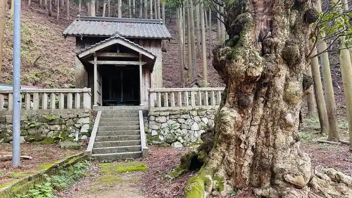熊野神社(福井県)