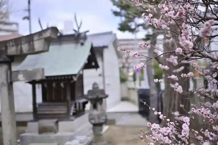 小村井 香取神社(東京都)