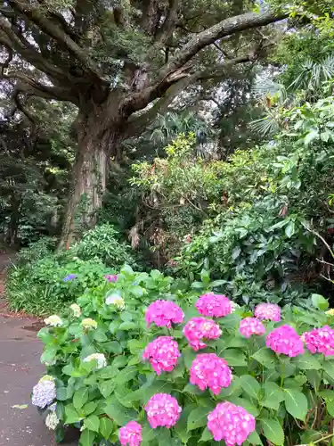 金刀比羅神社(茨城県)