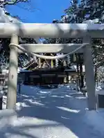 新琴似神社の鳥居