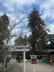 大杉神社の鳥居