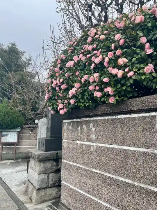常泉寺の{uncategorized: "未分類", other: "その他", undefined: "問題あり", building: "その他建物", grave: "お墓", sacred_gate: "鳥居", guardian: "狛犬", statue: "像", buddha: "仏像", history: "歴史", nature: "自然", garden: "庭園", animal: "動物", pagoda: "塔", temizu: "手水舎", mountain_gate: "山門・神門", sanctuary: "本殿・本堂", subordinate: "末社・摂社", art: "芸術", scenery: "景色", jizo: "地蔵", ema: "絵馬", goshuin: "御朱印", omikuji: "おみくじ", items: "授与品その他", amulet: "お守り", goshuincho: "御朱印帳", eats: "食事", festival: "お祭り", votive_dance: "神楽", shichigosan: "七五三参", wedding: "結婚式", experience: "体験その他", initially: "初詣", around: "周辺", anti_infection: "感染症対策"}