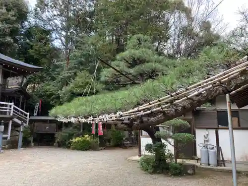 大徳院の御朱印