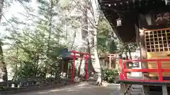 開運招福 飯玉神社の末社