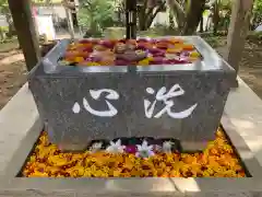 坂本八幡神社の手水