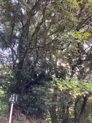 日本寺(千葉県)