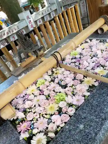 高円寺氷川神社の手水