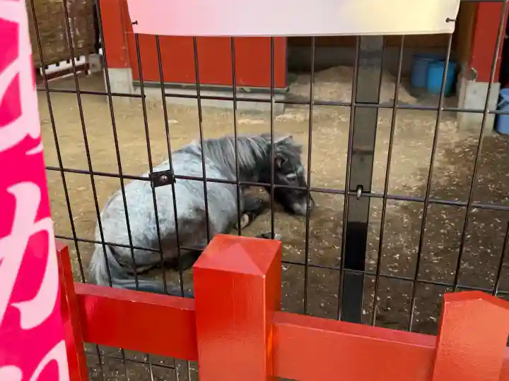 神田神社(神田明神)の{uncategorized: "未分類", other: "その他", undefined: "問題あり", building: "その他建物", grave: "お墓", sacred_gate: "鳥居", guardian: "狛犬", statue: "像", buddha: "仏像", history: "歴史", nature: "自然", garden: "庭園", animal: "動物", pagoda: "塔", temizu: "手水舎", mountain_gate: "山門・神門", sanctuary: "本殿・本堂", subordinate: "末社・摂社", art: "芸術", scenery: "景色", jizo: "地蔵", ema: "絵馬", goshuin: "御朱印", omikuji: "おみくじ", items: "授与品その他", amulet: "お守り", goshuincho: "御朱印帳", eats: "食事", festival: "お祭り", votive_dance: "神楽", shichigosan: "七五三参", wedding: "結婚式", experience: "体験その他", initially: "初詣", around: "周辺", anti_infection: "感染症対策"}