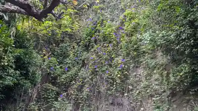 岩窟不動尊（巌窟不動尊／窟堂不動尊／窟堂／岩屋堂）の自然