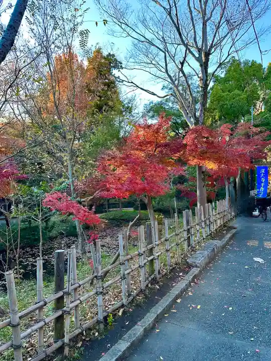 深大寺(東京都)